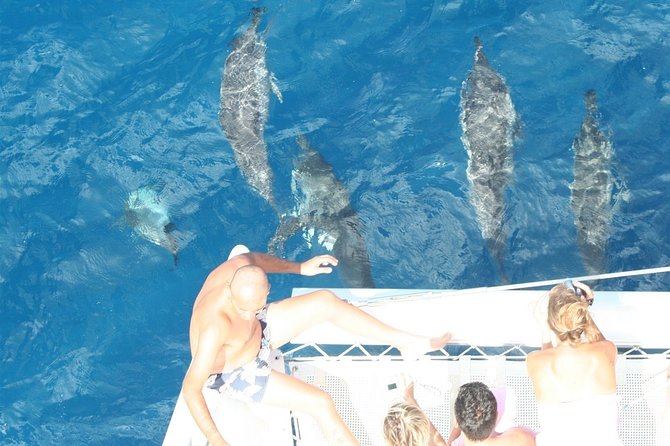 Sailing Catamaran Cruises - The west coast route and its changing views