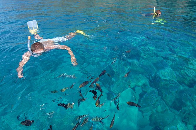 Sailing Catamaran Cruises - A seafood barbecue served on board