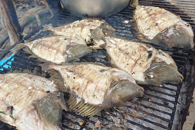 Shared 10 Pax Boat Tour: Dolphin Watching, Snorkelling and BBQ - Beach time on the southwest coast