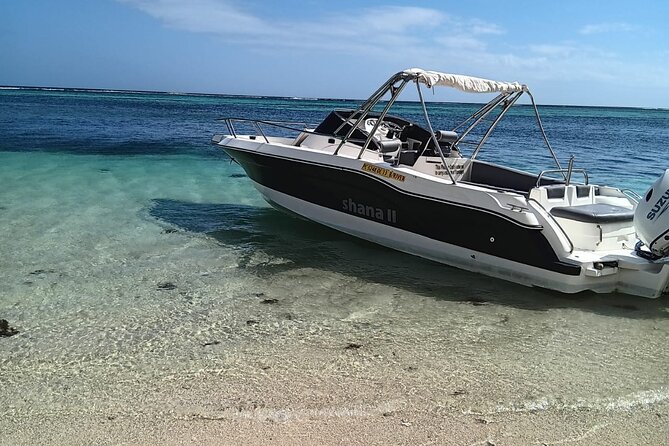 Shared 10 Pax Boat Tour: Dolphin Watching, Snorkelling and BBQ - What the $111.58 price covers