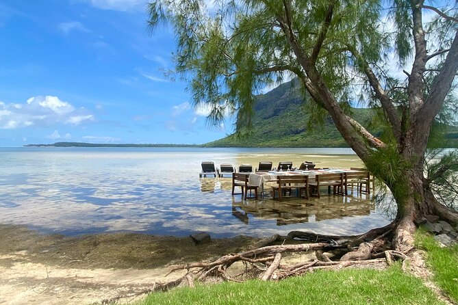 Signature Experience: Dolphins and Flavors of the Sea - Practical details that make the day easier