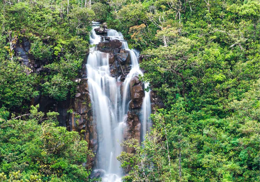 South: Gorges, Waterfalls, Lakes, Trails, 23 Coloured Earth - Starting with Sophie Nature Walk