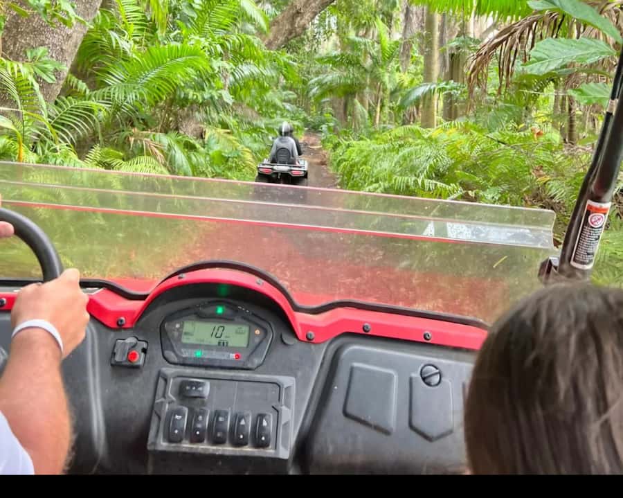 South Mauritius : Buggy Tour - What the guide actually does