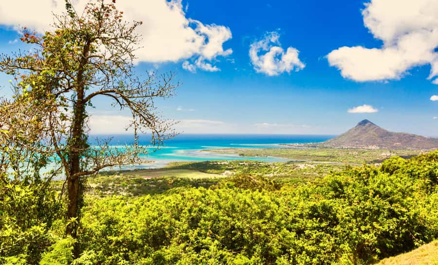 South of Mauritius : Full day Private with lunch & Chamarel - Black River Gorges viewpoints and changing road access