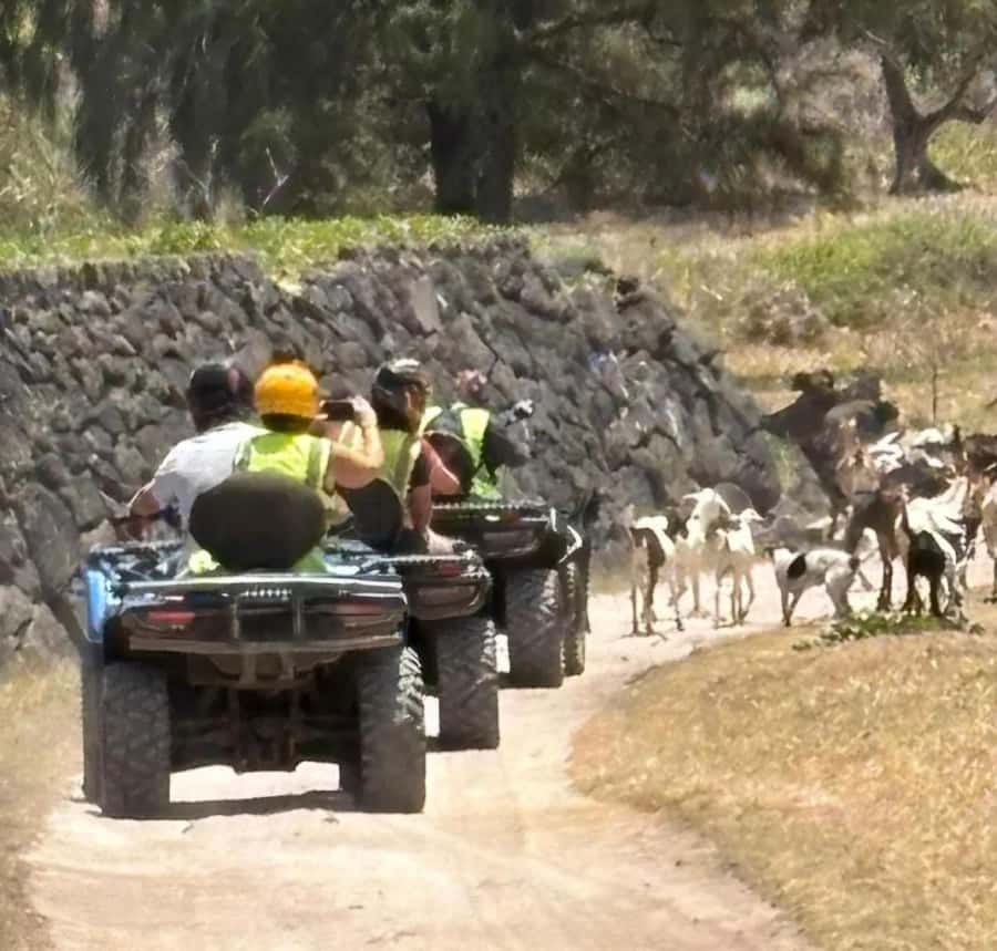South of Mauritius: Quad Bike Tour - Coastal paths, La Cambuse, and time in the water