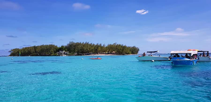 South Of Mauritius Quadbike and Snorkeling Blue Bay - Royal Palm Forest and the coastal beaches