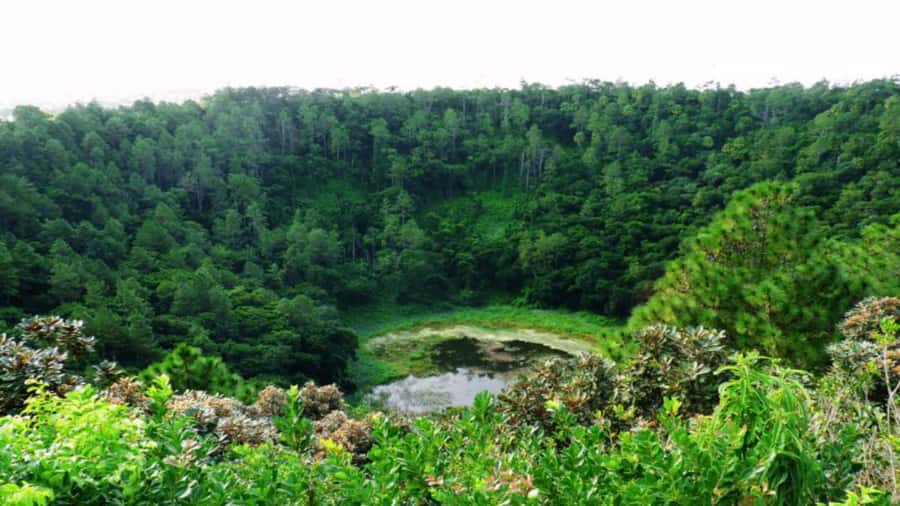 Southern Mauritius: Volcanoes & Coloured Earth - Who will get the most from this tour