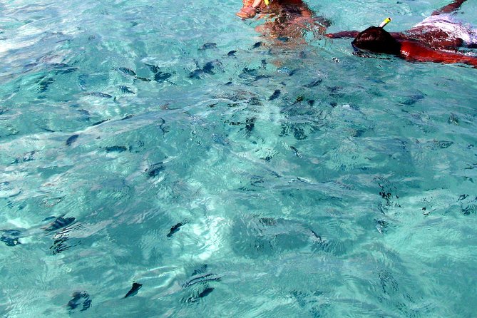 Spectacular Catamaran trip to Ile Aux Cerf with Lunch & Transfer - Lunch, drinks, and the catamaran mood