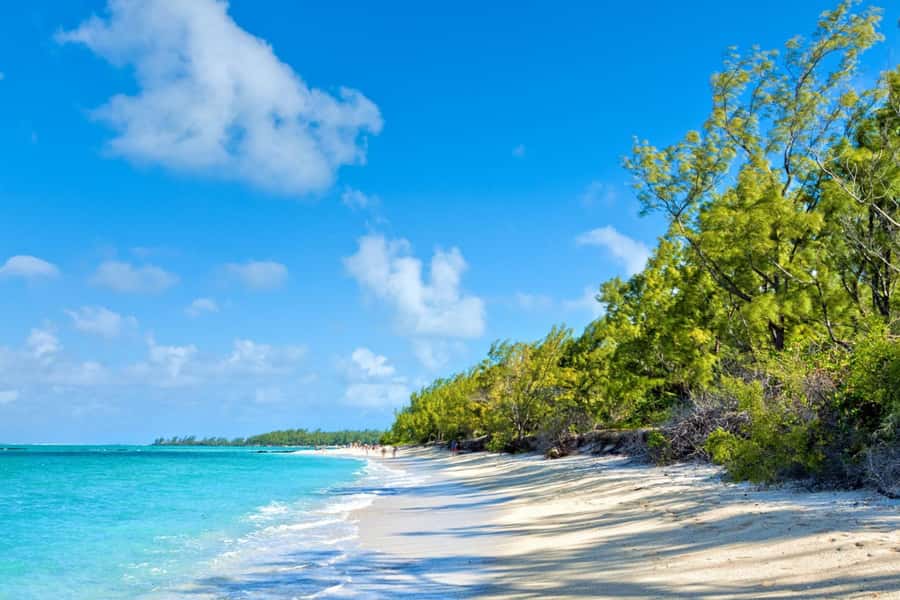 Speed boat to Ile aux Cerfs: Full day incl Lunch & Transfer - Guitar, jambé, and a relaxed island pause