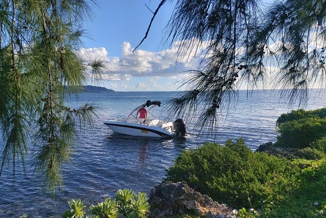 Speed Boat Tour île aux Cerfs and Others Gems of The South - What the $81.30 price delivers