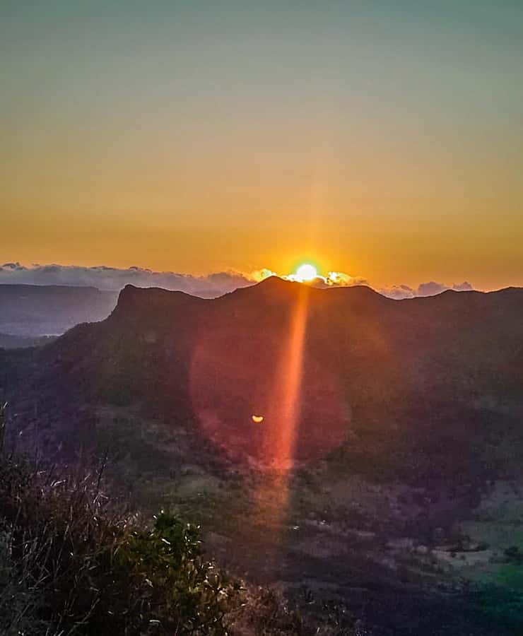 Sunrise hike at Le Morne Brabant with Local Guides (UNESCO) - The forest trail and the first hour of climbing