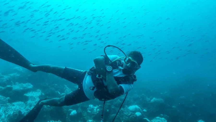 Tamarin Bay: Beginners Scuba Diving Experience - A gentle first step beneath Tamarin Bay