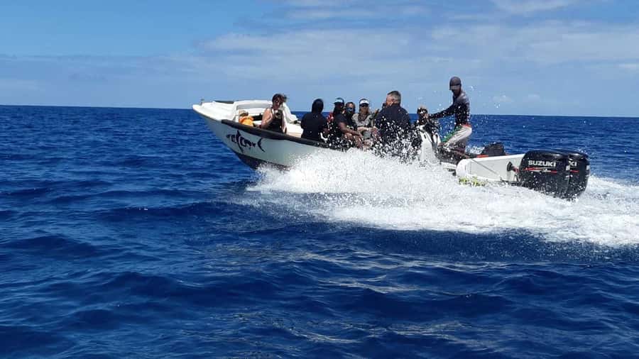 Tamarin Bay: Beginners Scuba Diving Experience - The pool lesson makes the sea feel manageable