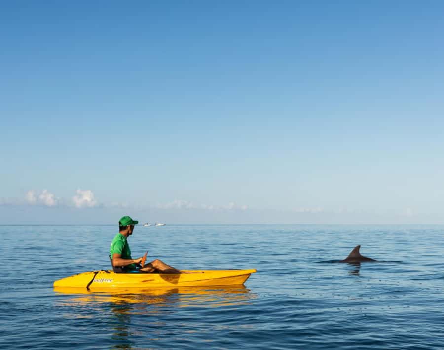 Tamarin: Guided Kayak Tour with Dolphins - Why kayaking changes the wildlife encounter