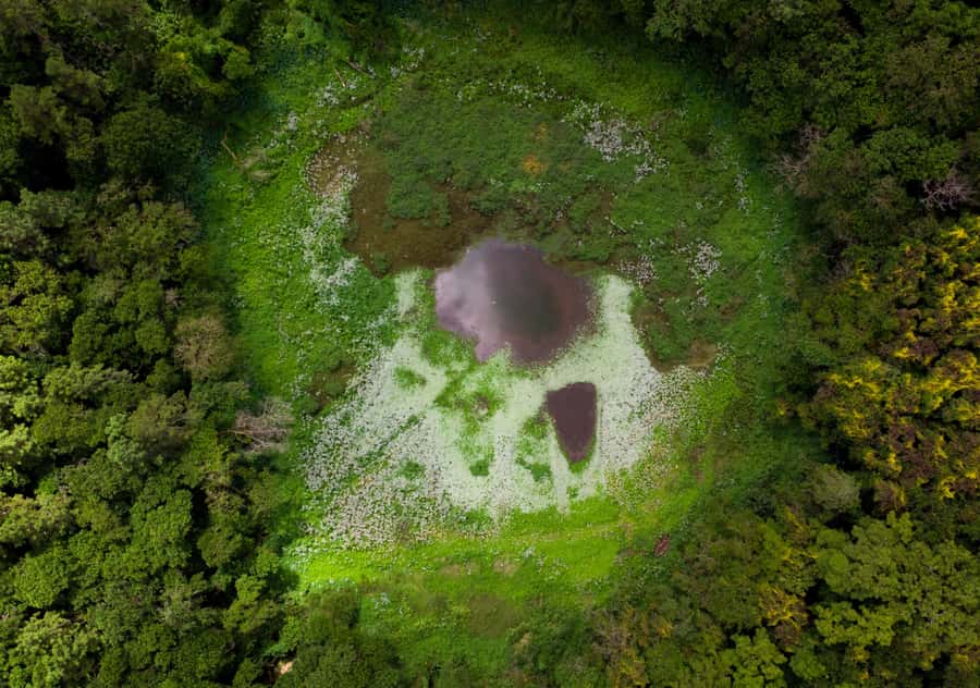 Tea Route: Lake, Forest, Tea Plantation & 3 Course Lunch - One Day From Volcano to Tea Country