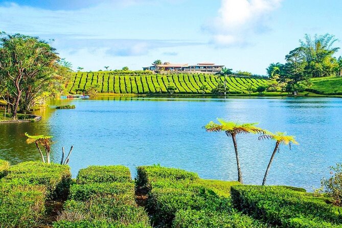 The East Discovery Tour: Bois-Cheri Tea Factory, Blue-Bay Marine Park & Lunch - Lunch before Mahebourg’s museums