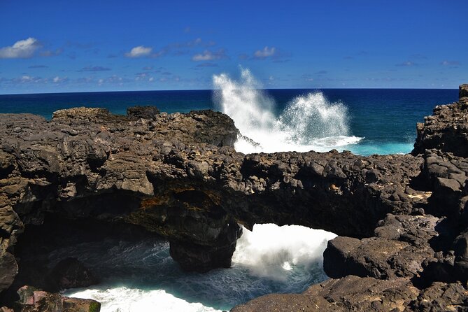 The East of Mauritius: Full-day incl visit to Ile aux Aigrettes & Lunch - Bazar Street and everyday Mahebourg