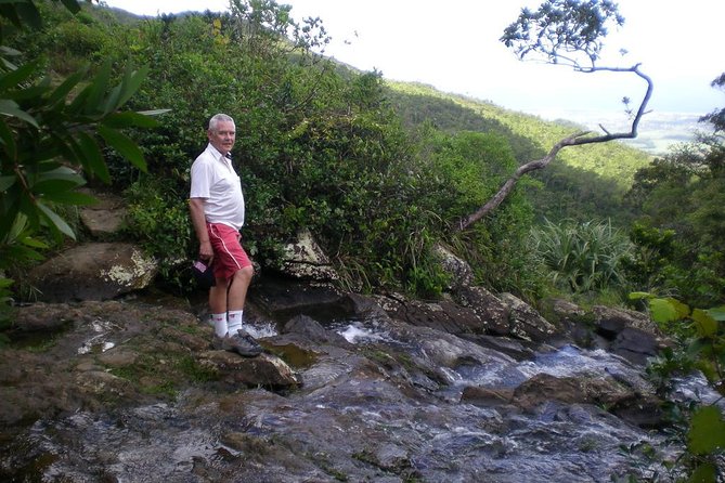 The Gorgeous South of Mauritius: Full-day tour incl Tea Factory & Crocodile park - Key points at a glance