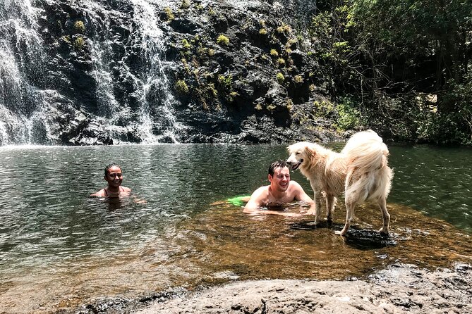 The Tamarind Falls (7 Cascades) Adventure - Walking through forest and beside the river