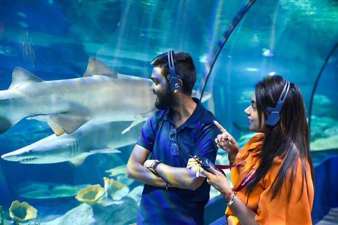 Ticket to the largest Oceanarium of the Mascarene Islands - The main aquarium and 45 habitats