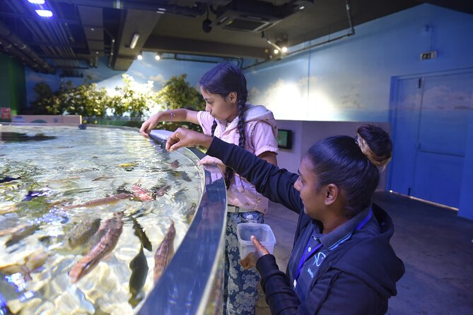 Ticket to the largest Oceanarium of the Mascarene Islands - Is the $33.50 price good value?