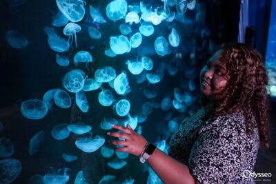 Ticket to the largest Oceanarium of the Mascarene Islands