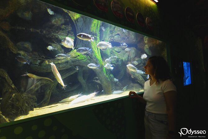 Ticket to the largest Oceanarium of the Mascarene Islands - Choosing your visit day and arrival time