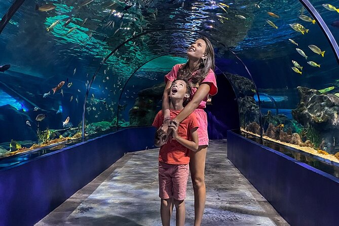 Ticket to the largest Oceanarium of the Mascarene Islands - Practical limits worth knowing