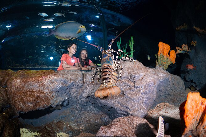 Ticket to the largest Oceanarium of the Mascarene Islands - How to fit it into a Mauritius itinerary