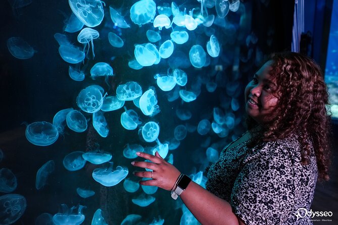 Ticket to the largest Oceanarium of the Mascarene Islands - Learning about the Indian Ocean