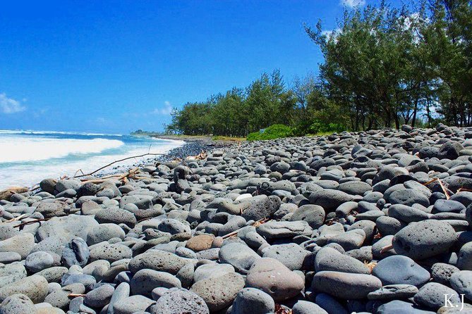 Tropical South West of Mauritius: Full-day All Inclusive tour (Visit to 3 parks) - Saint Aubin explains Mauritius through sugar cane and rum