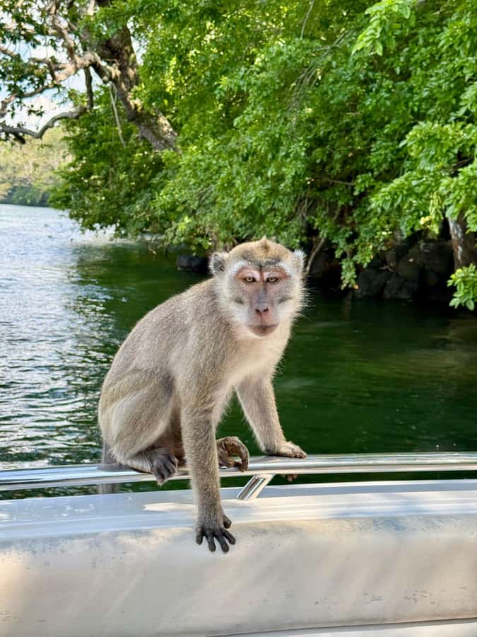 Trou D'Eau Douce: 5 island tour Mauritius with lunch/drinks - Snorkeling requires a careful check before departure