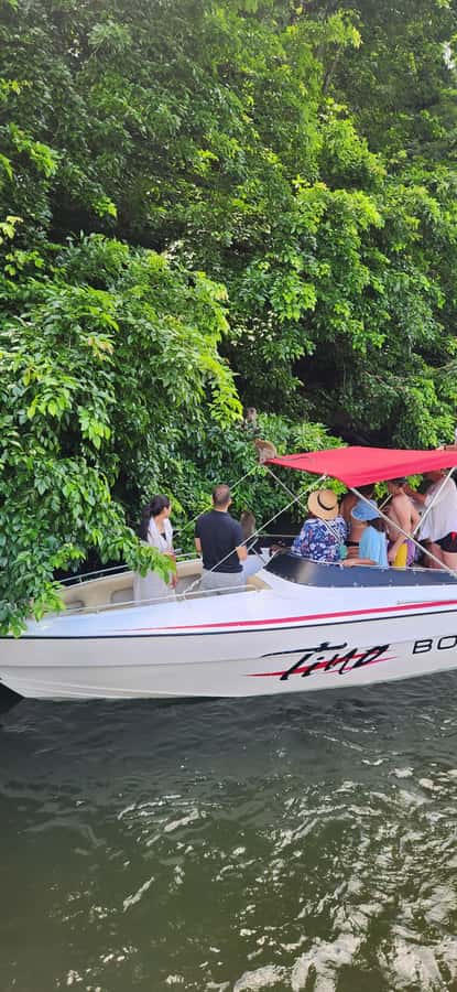 Trou D'Eau Douce: 5 island tour Mauritius with lunch/drinks - The BBQ lunch is the tour’s social center