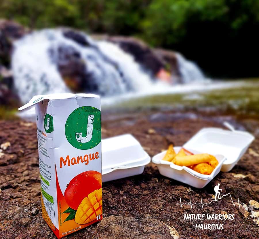 Vacoas-Phoenix: Private Hiking Tour to Tamarind Falls - Tamarind Falls, the grand finish