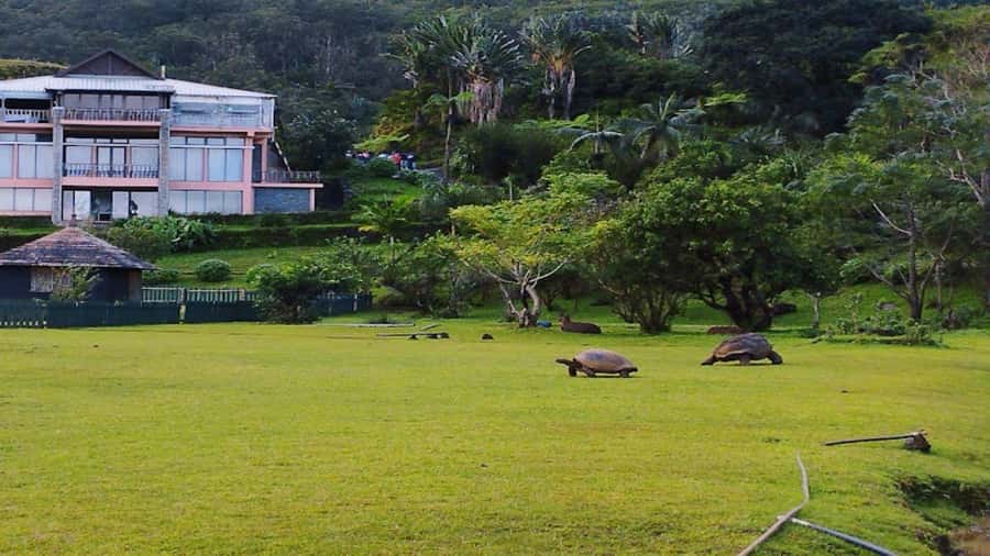 Valle Adventure Park Full Day - Is $223 good value for three people?