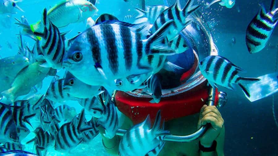 Walking under the sea in Mauritius with transfer - The platform briefing and equipment