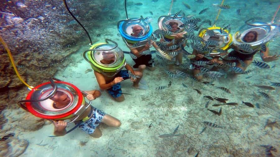 Walking under the sea in Mauritius with transfer - What the marine life adds