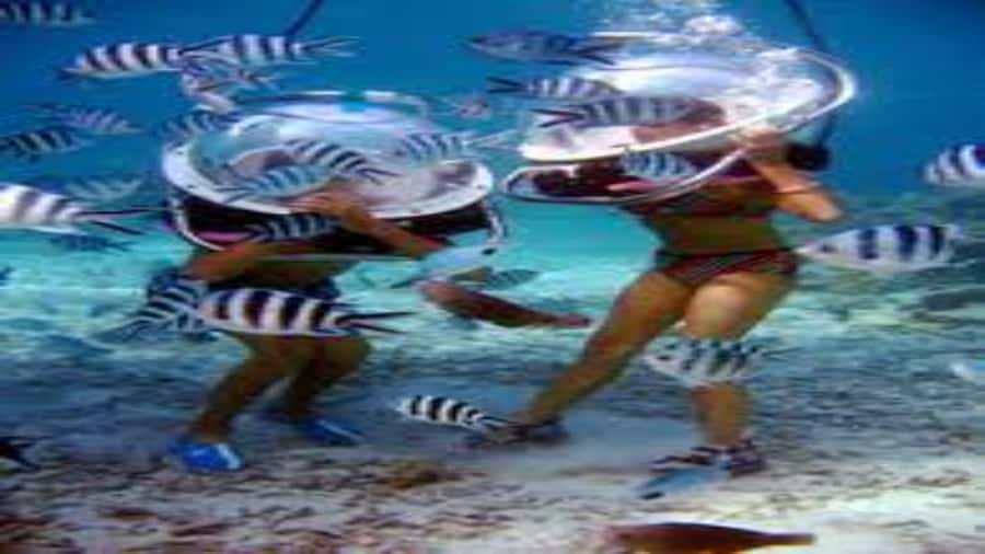 Walking under the sea in Mauritius with transfer - How the three-hour schedule really works