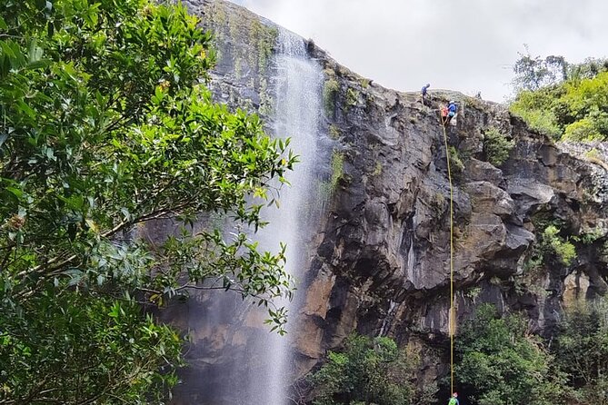 Waterfall Hike - Subtropical bush and slippery rock