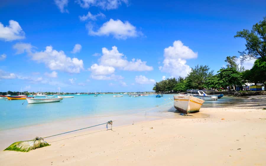 West: Swim wz dolphins, Crystal Rock, Lunch Benitiers island - A simple Creole BBQ by the sea