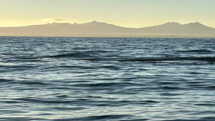 Whale & Dolphins Swimming - Private Speedboat Exclusive Tour - Breakfast on board and what to confirm