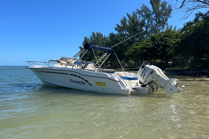 Whale Watching and Private Ocean Safari Experience in Mauritius - Leaving Black River Bay at 7:00 a.m.