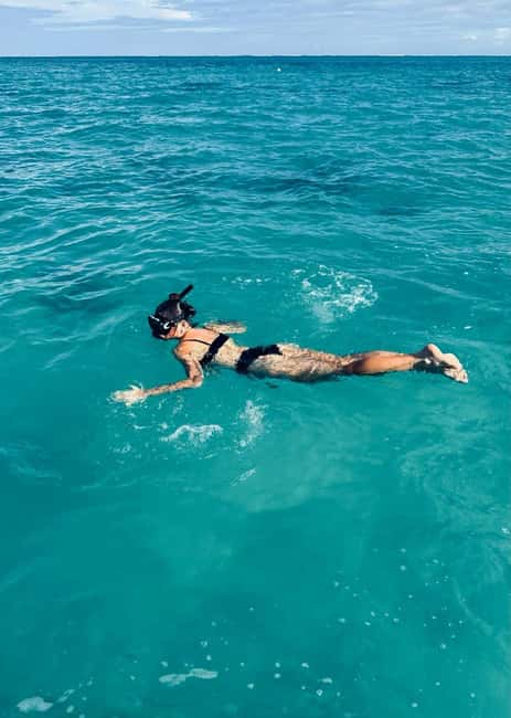 Wild Dolphin Encounter & Snorkeling Adventure – Mauritius. - Heading out from Mauritius at 7:30 AM
