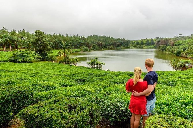 Wild South: Full-Day tour incl Rhumerie St Aubin, Bois cheri Tea factory & Lunch - Trou aux Cerfs and Mare aux Vacoas: highland beginnings