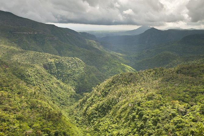 Wild South: Full-Day tour incl Rhumerie St Aubin, Bois cheri Tea factory & Lunch - Bois Chéri, where Mauritius makes tea