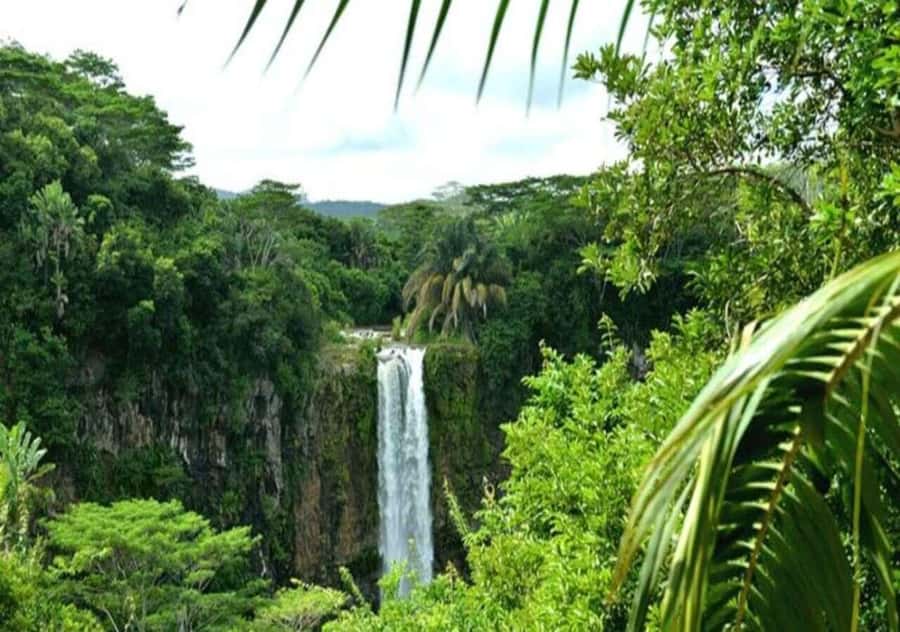 Wild South West Private Tour with pick up - A full day across southwest Mauritius