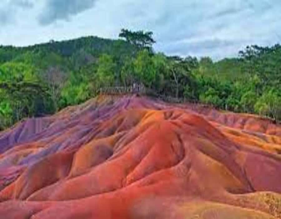 Wild South West Private Tour with pick up - Mare aux Vacoas, Mauritius’s largest reservoir