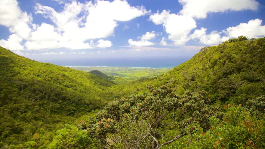 Wild South West Private Tour with pick up - What the $140 group price really covers