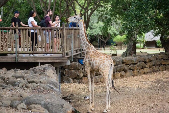 Wild South West Tour : SAFARI & TULAWAKA CASELA PARK & LE MORNE - Why this private Mauritius day works