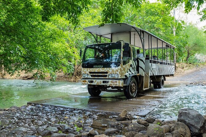 Wild South West Tour : SAFARI & TULAWAKA CASELA PARK & LE MORNE - Cascavelle Mall: practical lunch with a local angle